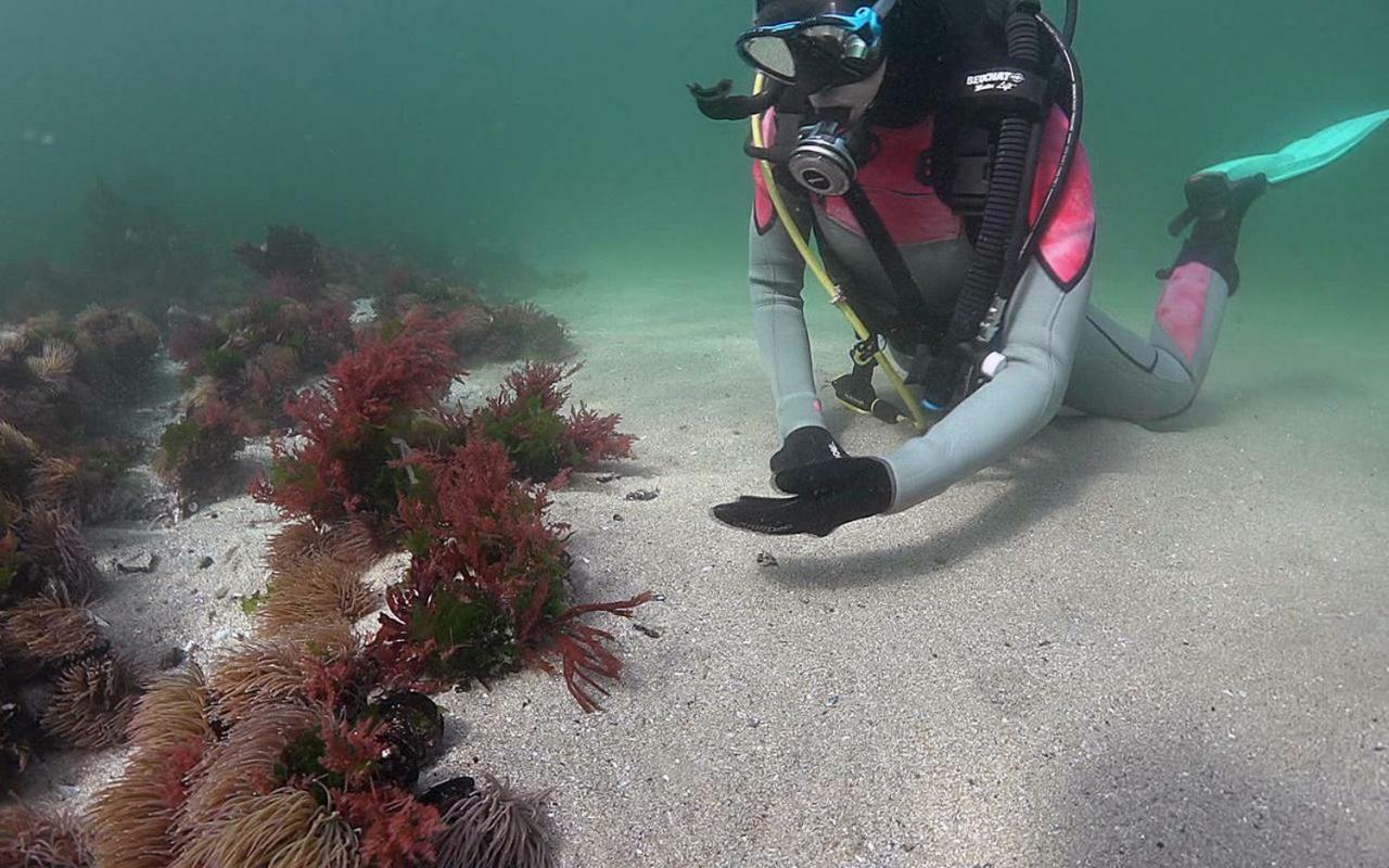 Willa Casinas Marineiras Portosin Zewnętrze zdjęcie